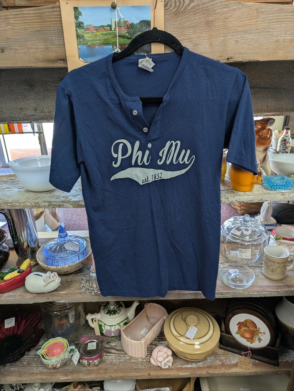 Phi Mu Sorority Teeshirt